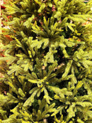 Árvore de Natal Pinheiro Realista New York – [EDIÇÃO LUXO + BRINDE EXCLUSIVO]